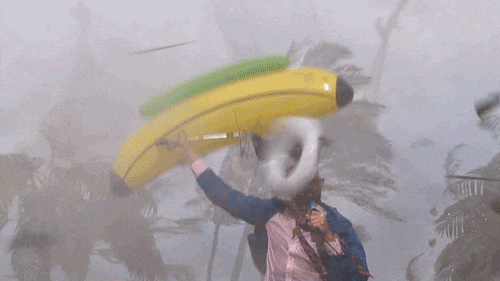 Funny gif showing a weather man holding an inflatable banana in the middle of a hurricane.